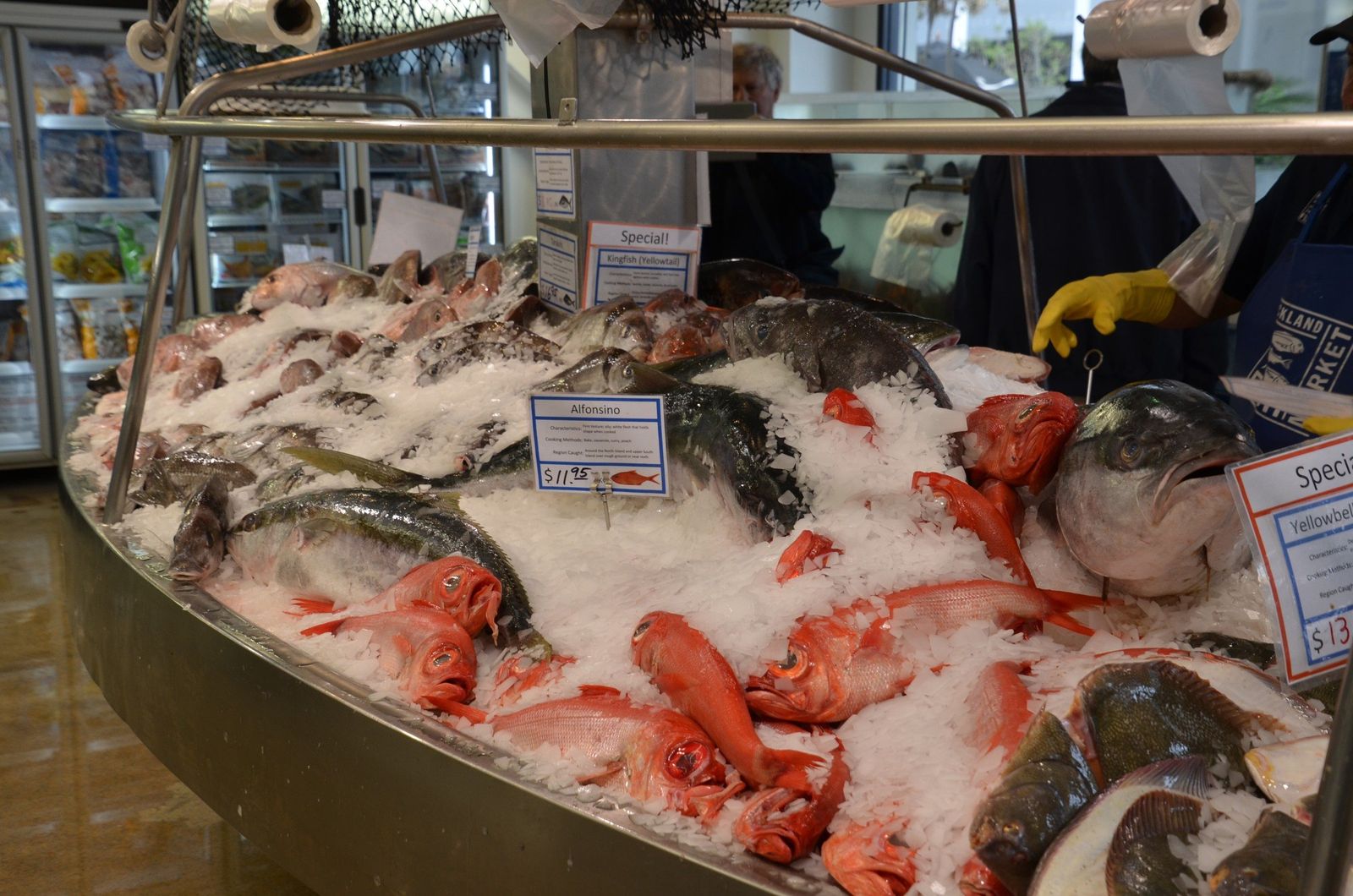 Fresh kingfish, snapper and alfonsino on ice at the Auckland Fish Market
