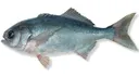 Bluenose