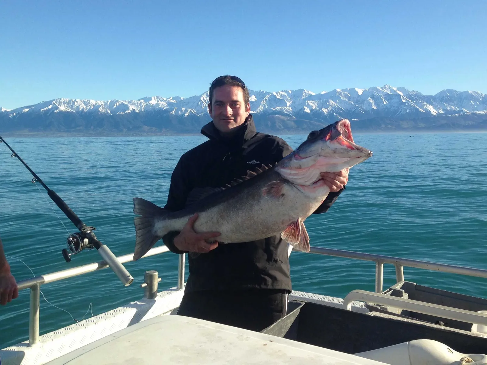 An angler holding a large fish off Kaikōura, with snow-capped mountains behind