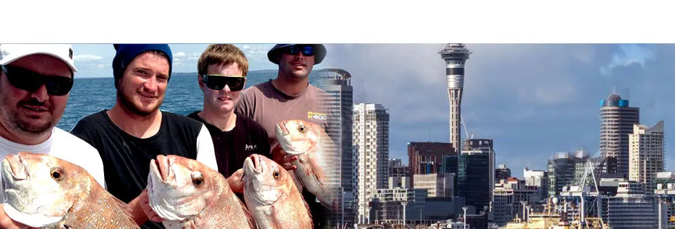 Anglers holding snapper, with the Auckland skyline behind
