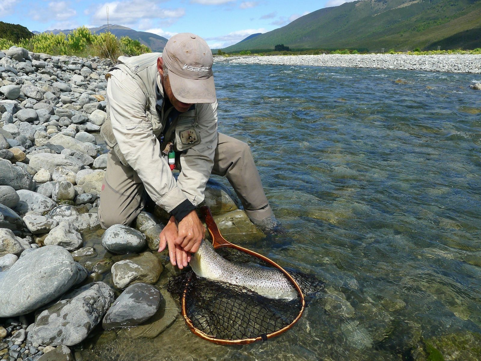An angler releasing a brown trout from a landing net in a South Island river